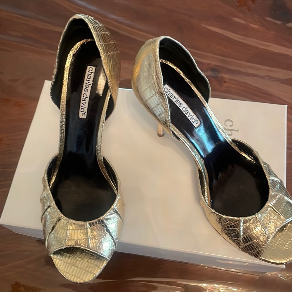 Charles David shoes